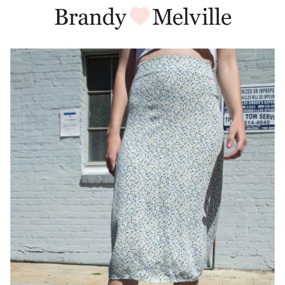 ✨Brandy Melville Phoebe Floral Skirt✨